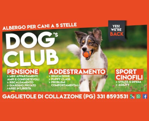 Dog's Club Umbria Centro Cinofilo e Pensione per Cani